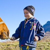 Угощайся друг :: Геннадий Валеев