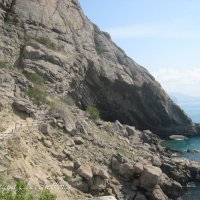 Природа Крыма :: Amazing Cosmea Природа Крыма :: Amazing Cosmea