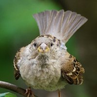 !!! :: kolyeretka !!! :: kolyeretka