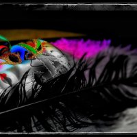 Гармония цвета и его отсутствие... :: Руслан 