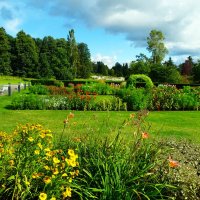 По дорожкам Ботанического сада :: Aida10 