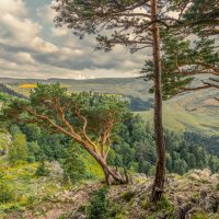 *** :: Аnatoly Gaponenko