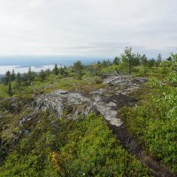 Тернистая дорога на сопку :: Ольга Чистякова Тернистая дорога на сопку :: Ольга Чистякова