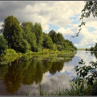 *** :: Aleksandr Gal