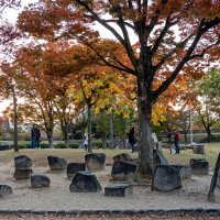 Сад камней :: Виталий Авакян Сад камней :: Виталий Авакян