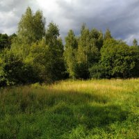 * * * :: Андрей Лукьянов