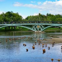 Левобережный мост :: Ольга 