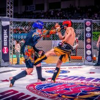 Поединок :: arkadii 