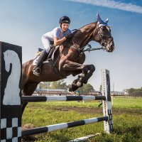 Конкур :: SanSan 