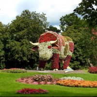 ****** :: ИННА ПОРОХОВА