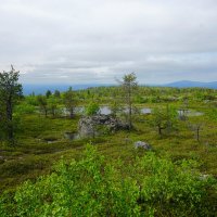 Тундра сопки Волосяная :: Ольга Чистякова Тундра сопки Волосяная :: Ольга Чистякова