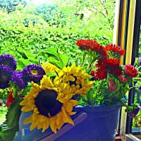 АВГУСТОВСКИЕ БУКЕТЫ - 5 :: Елена Куприянова 