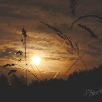 *** :: Елена Kазак (selena1965) *** :: Елена Kазак (selena1965)