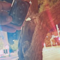 13  ОПЕН (248) :: OPEN WAYS ALL