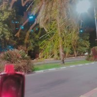 13  ОПЕН (250) :: OPEN WAYS ALL