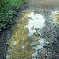 *** :: Леонид leo