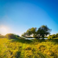 *** :: Игорь Чичиль