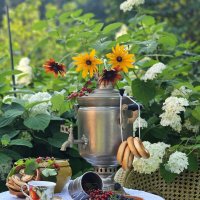 Фотопроект _у самовара. :: Галина Левина