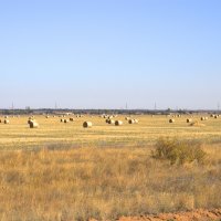 Хлеб собран. :: Владимир Моисеев