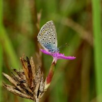 из снятого позапозавчера 1 :: Александр Прокудин из снятого позапозавчера 1 :: Александр Прокудин