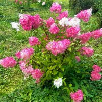 Солнечный денёк! :: Нина Андронова