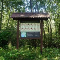 "Туда - низя, сюда - низя, никуда низя..." :: zavitok *