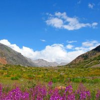 ДОЛИНА ОЙГАИНГА. :: Виктор Осипчук