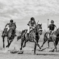 Скачки :: SanSan 