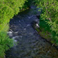 ... :: Жора Житников