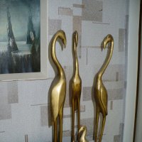 СЕМЕЙСТВО ФЛАМИНГО ... :: Валерий Кокорев