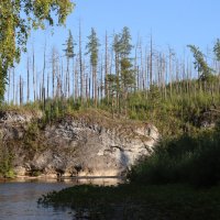 Берега Северной Тошемки :: Галина Ильясова