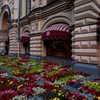 В ГУМе — Фестиваль цветов. :: Татьяна Помогалова