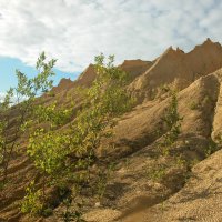 ? :: Наталья Лунева 