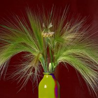 *** :: Владимир 