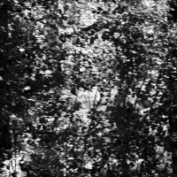 Назва. отсу. :: Денис Безногов Назва. отсу. :: Денис Безногов