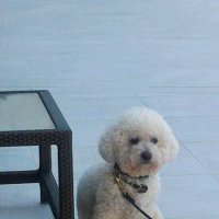 Одиночество :: Натали 