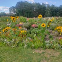 В Ботаническом саду :: Ирэн 