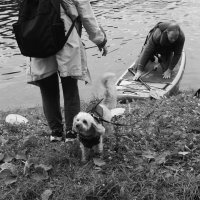 .... :: Юрий Самсонов