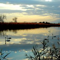 Утро. :: Владимир 