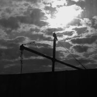 7 часов 17 минут :: Марсель Валеев