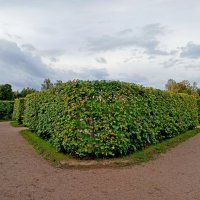 Лабиринт. :: Лия ☼ Лабиринт. :: Лия ☼