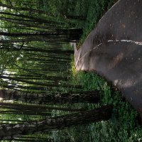 Лета совсем на донышке :: Андрей Лукьянов