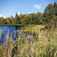 Конец августа :: Veera V