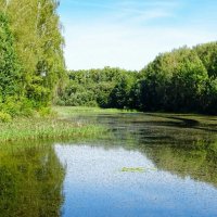 Природа Смоленщины в конце лета. :: Милешкин Владимир Алексеевич 