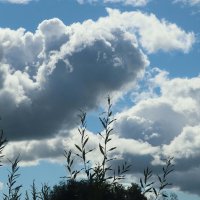 Июль...Клубятся  над рекой облака! :: Владимир 