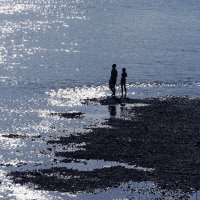 На обских отмелях :: Галина Кан На обских отмелях :: Галина Кан