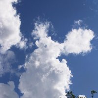 В полёте :: Людмила Смородинская В полёте :: Людмила Смородинская