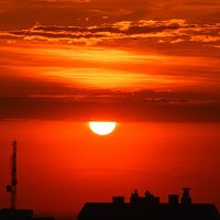 Полёты на закате :: Татьяна Лютаева Полёты на закате :: Татьяна Лютаева