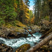 Река в горах. :: Владимир 