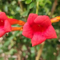 ,,, :: Сергей Тимоновский